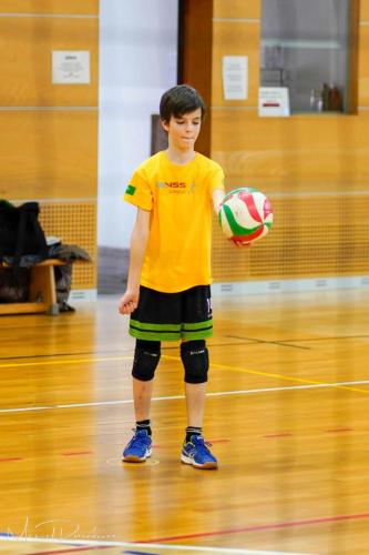 Torneo VSS-005