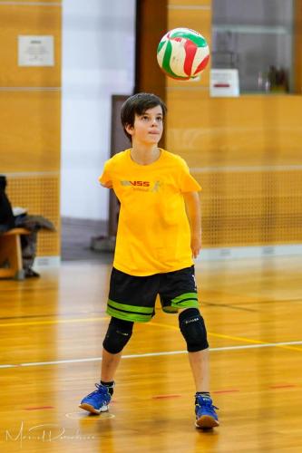 Torneo VSS-006