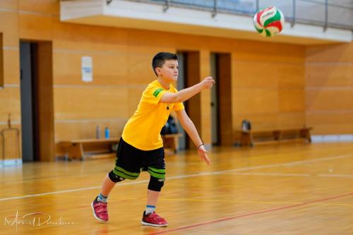 Torneo VSS-008