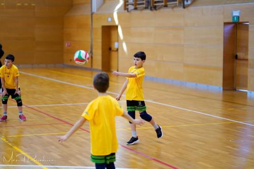 Torneo VSS-010