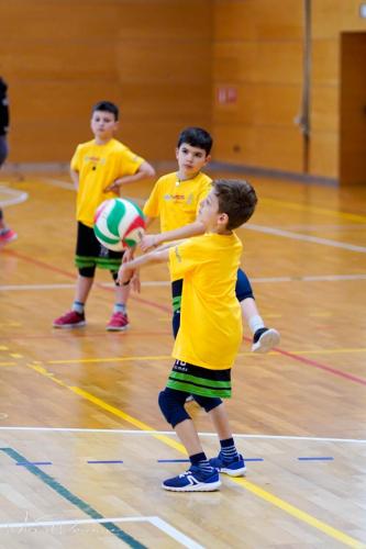 Torneo VSS-011