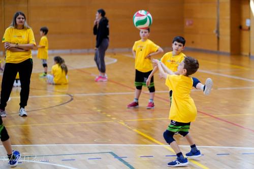 Torneo VSS-012