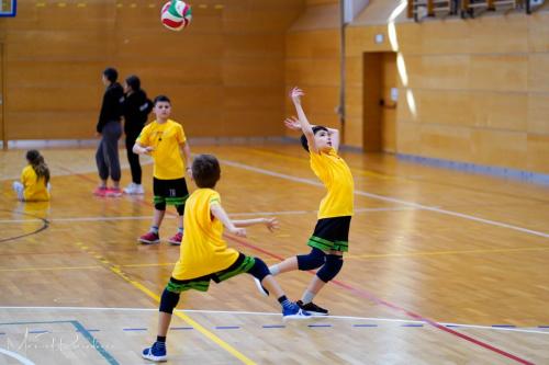 Torneo VSS-013