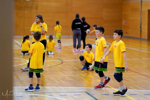 Torneo VSS-014