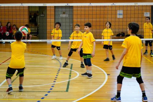 Torneo VSS-015
