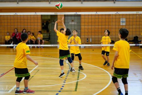 Torneo VSS-016