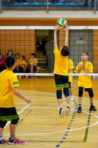 Torneo VSS-017