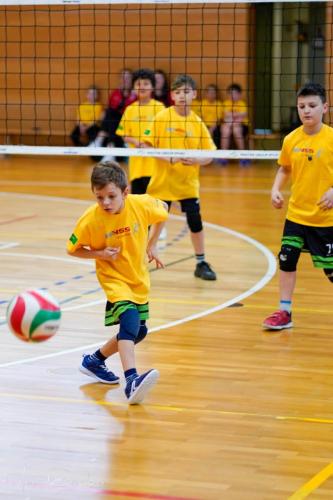 Torneo VSS-018