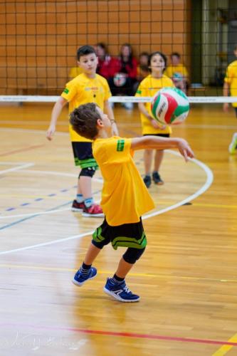 Torneo VSS-019
