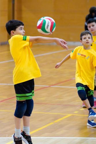 Torneo VSS-022