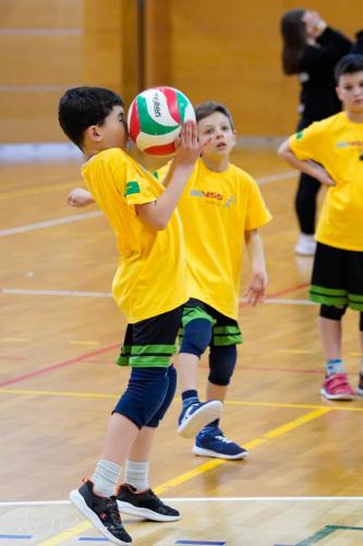 Torneo VSS-023