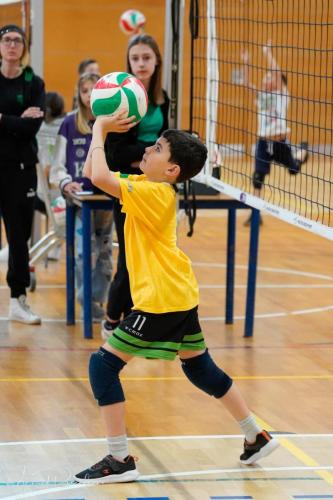Torneo VSS-027